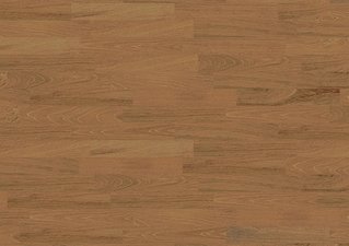 Jatoba